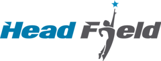 Head Field Solution